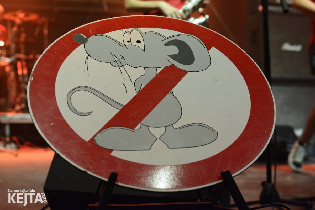 Totální nasazení oslavilo 30 let, vystoupili také Plexis, The Fialky nebo Deratizéři