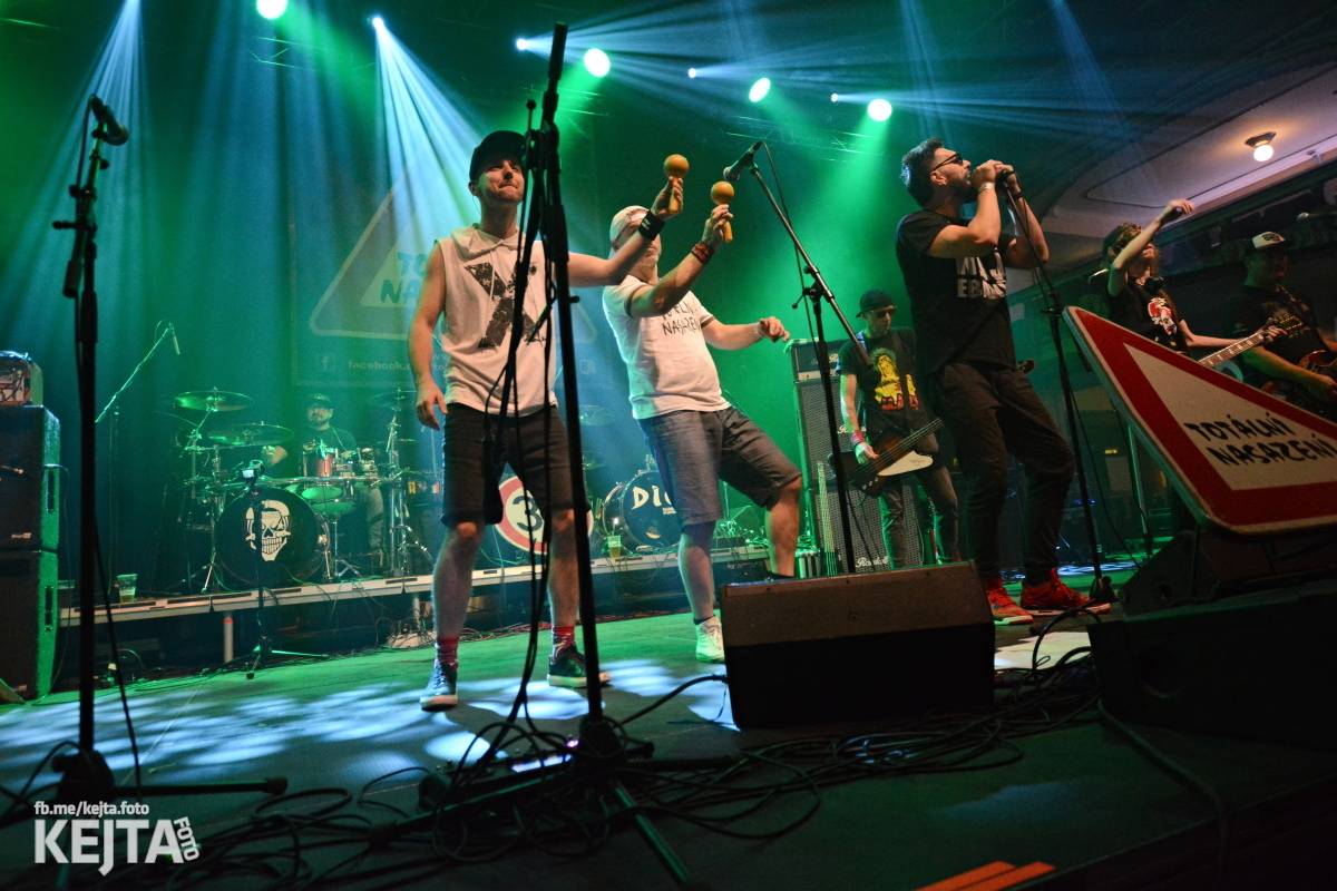 Totální nasazení oslavilo 30 let, vystoupili také Plexis, The Fialky nebo Deratizéři