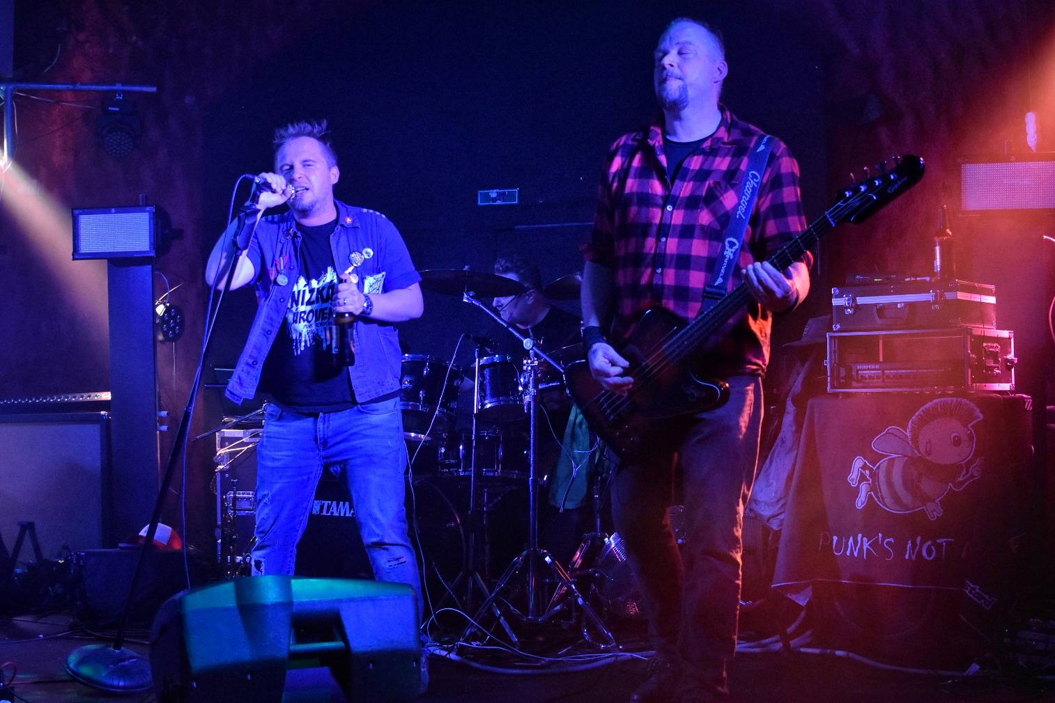 Příznivci punku se sjeli v Přešticích. Zahráli jim Nízká úroveň a Civilní obrana