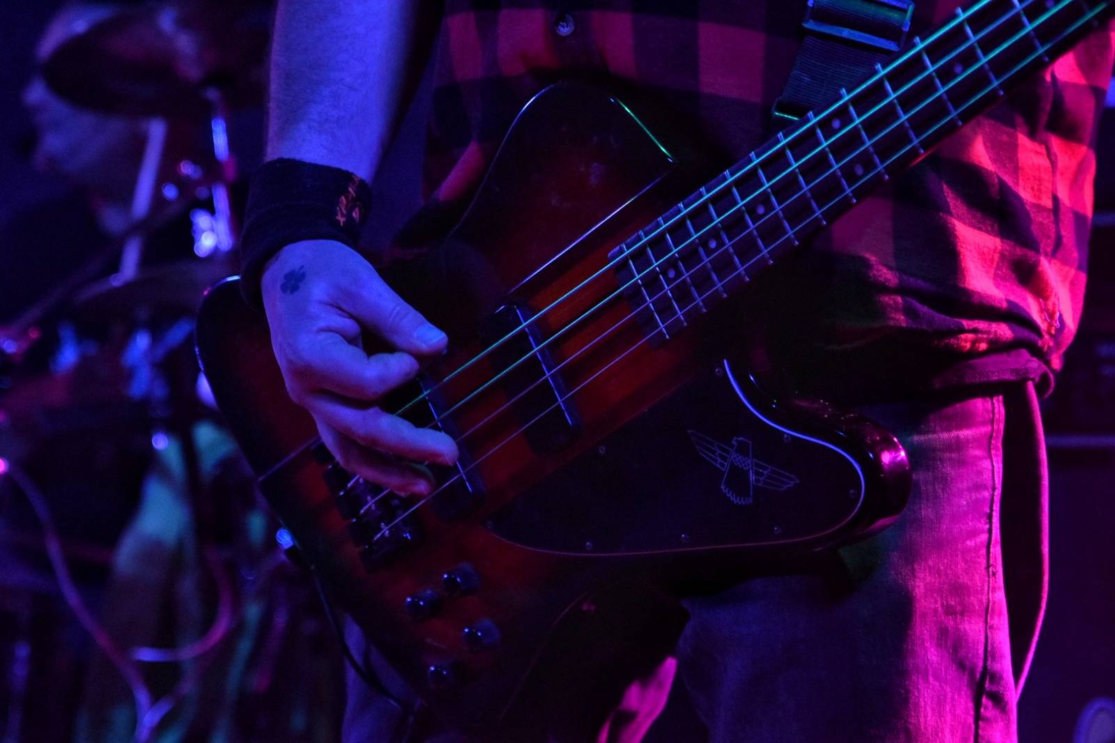 Příznivci punku se sjeli v Přešticích. Zahráli jim Nízká úroveň a Civilní obrana