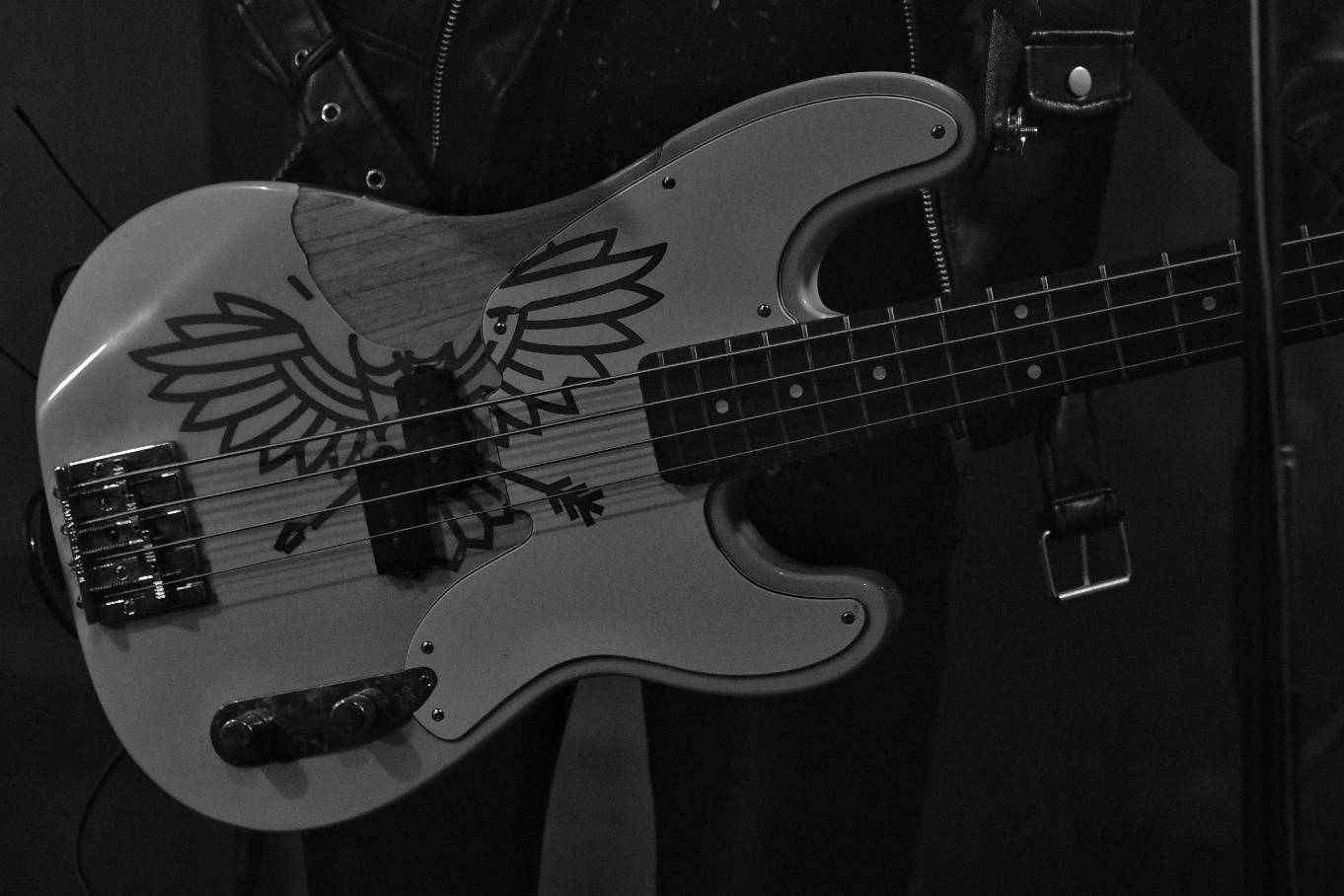 Příznivci punku se sjeli v Přešticích. Zahráli jim Nízká úroveň a Civilní obrana