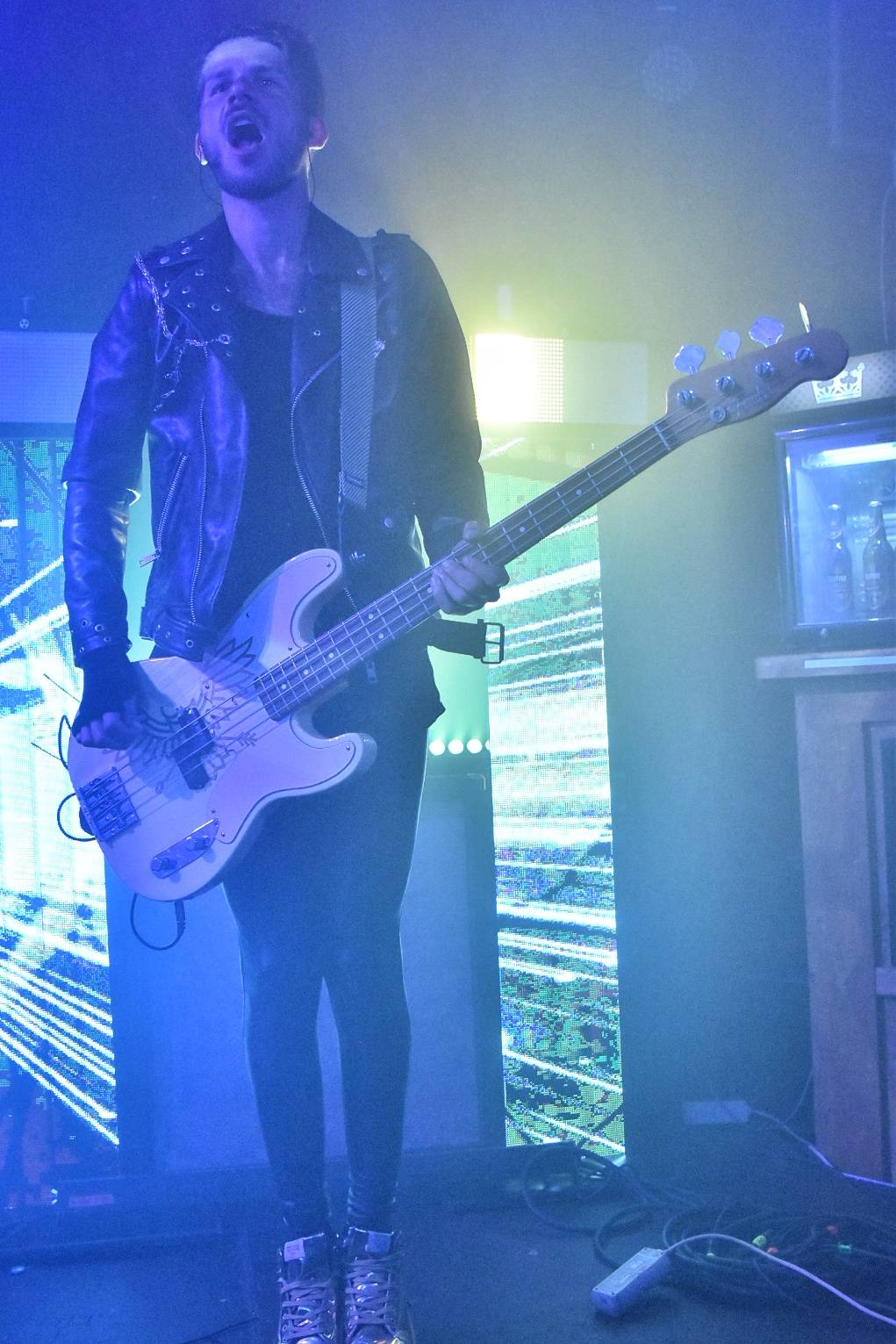 Příznivci punku se sjeli v Přešticích. Zahráli jim Nízká úroveň a Civilní obrana