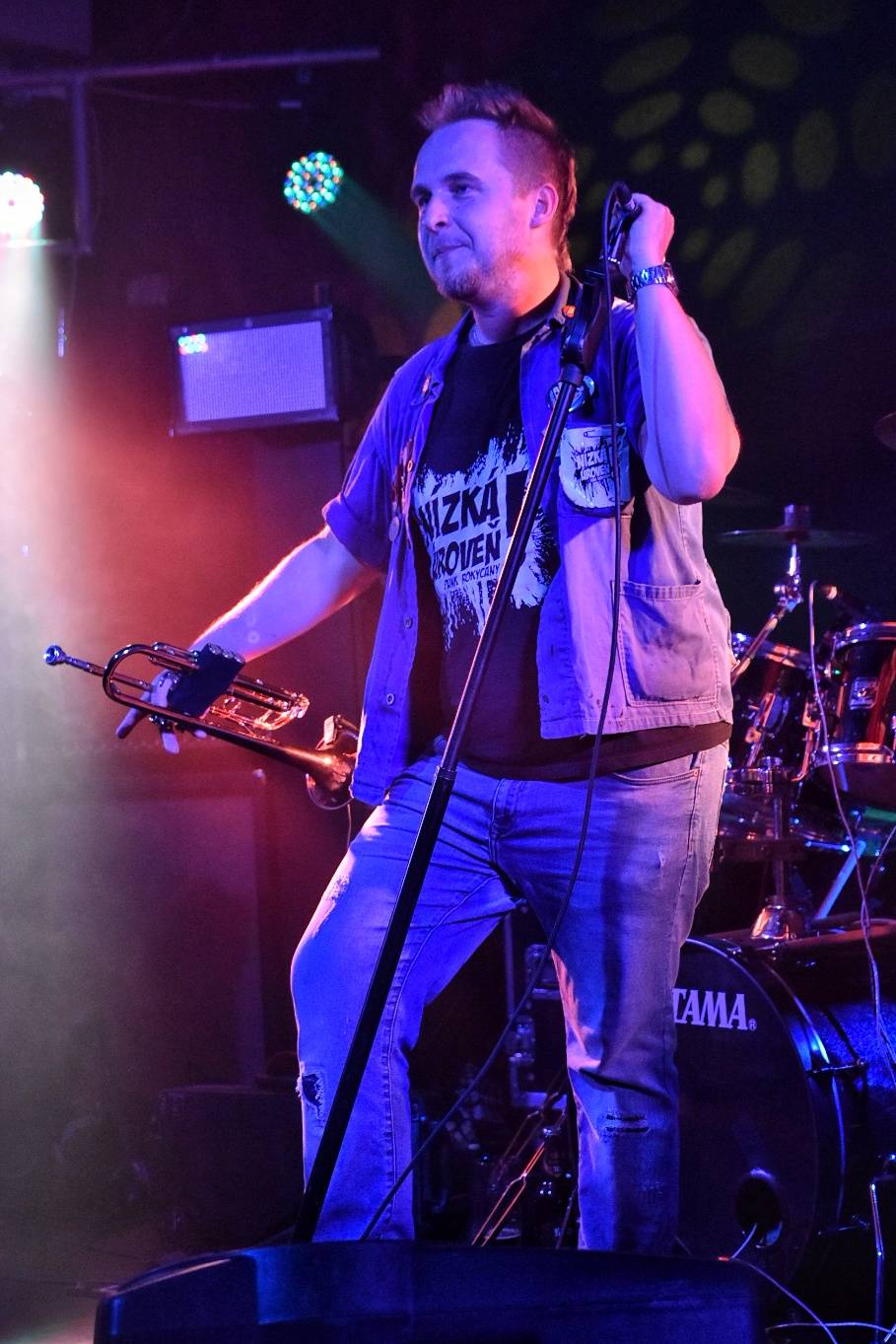 Příznivci punku se sjeli v Přešticích. Zahráli jim Nízká úroveň a Civilní obrana