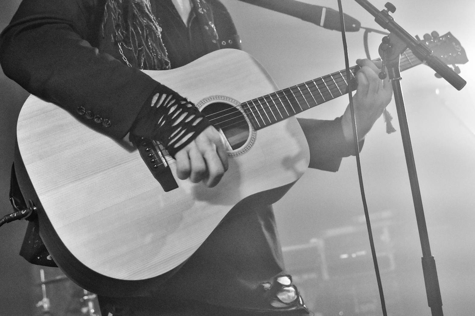 Příznivci punku se sjeli v Přešticích. Zahráli jim Nízká úroveň a Civilní obrana