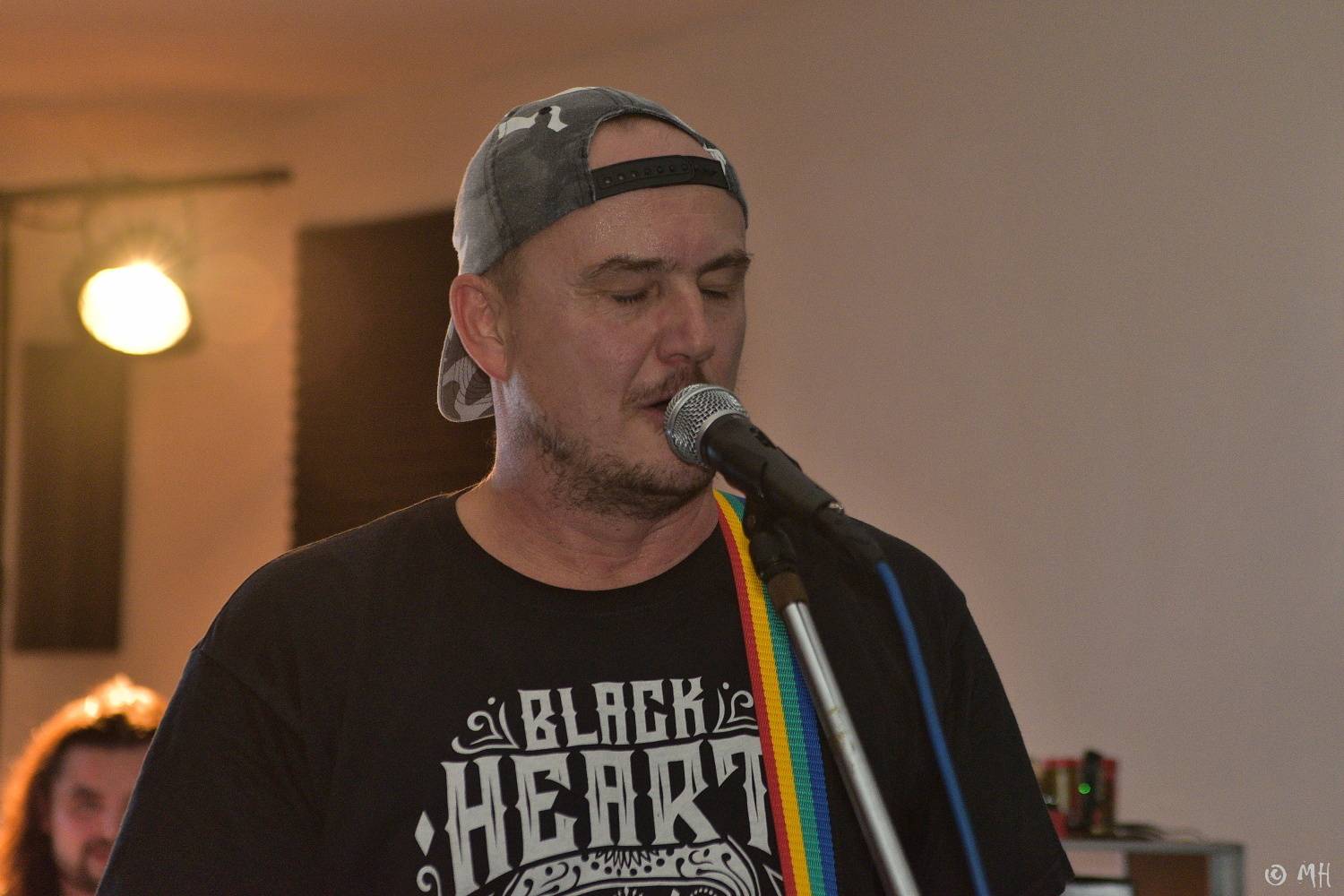 Antabus a Bradavice si v Tachovské v Plzni užili poslední letošní koncert