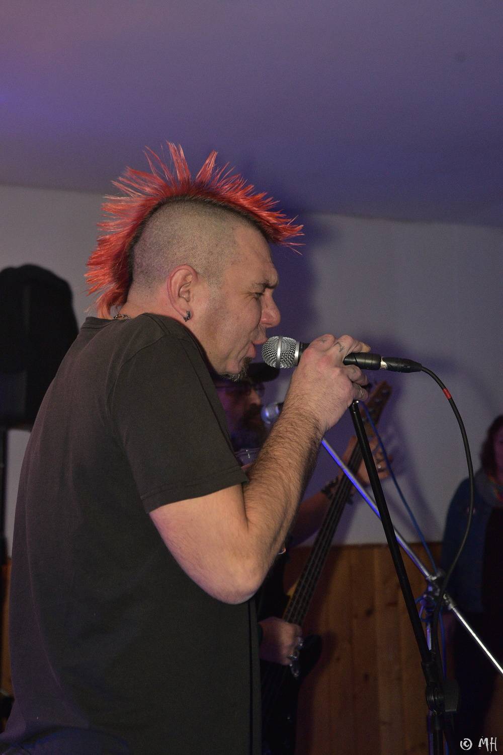 Antabus a Bradavice si v Tachovské v Plzni užili poslední letošní koncert