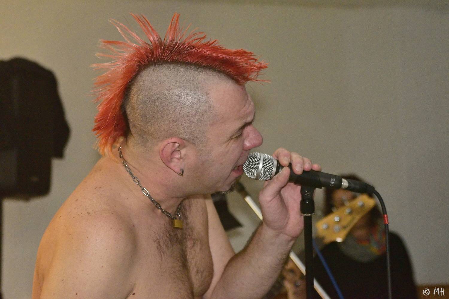 Antabus a Bradavice si v Tachovské v Plzni užili poslední letošní koncert