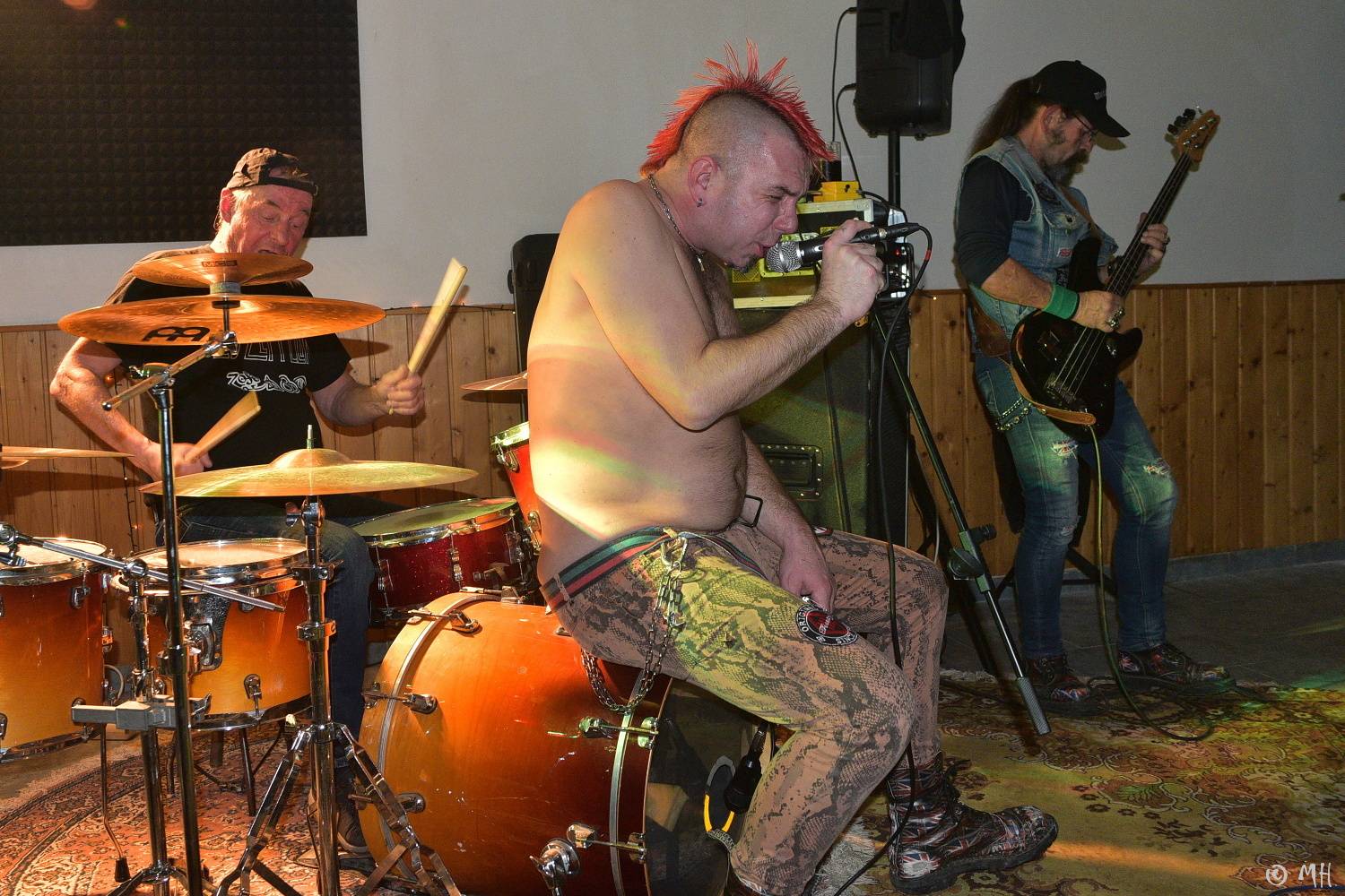 Antabus a Bradavice si v Tachovské v Plzni užili poslední letošní koncert