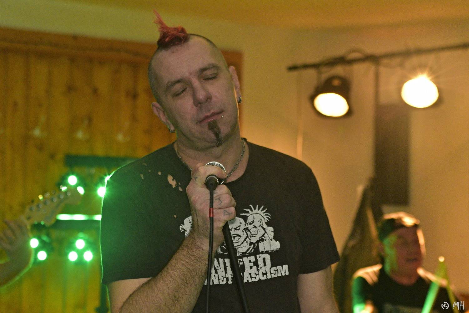 Antabus a Bradavice si v Tachovské v Plzni užili poslední letošní koncert