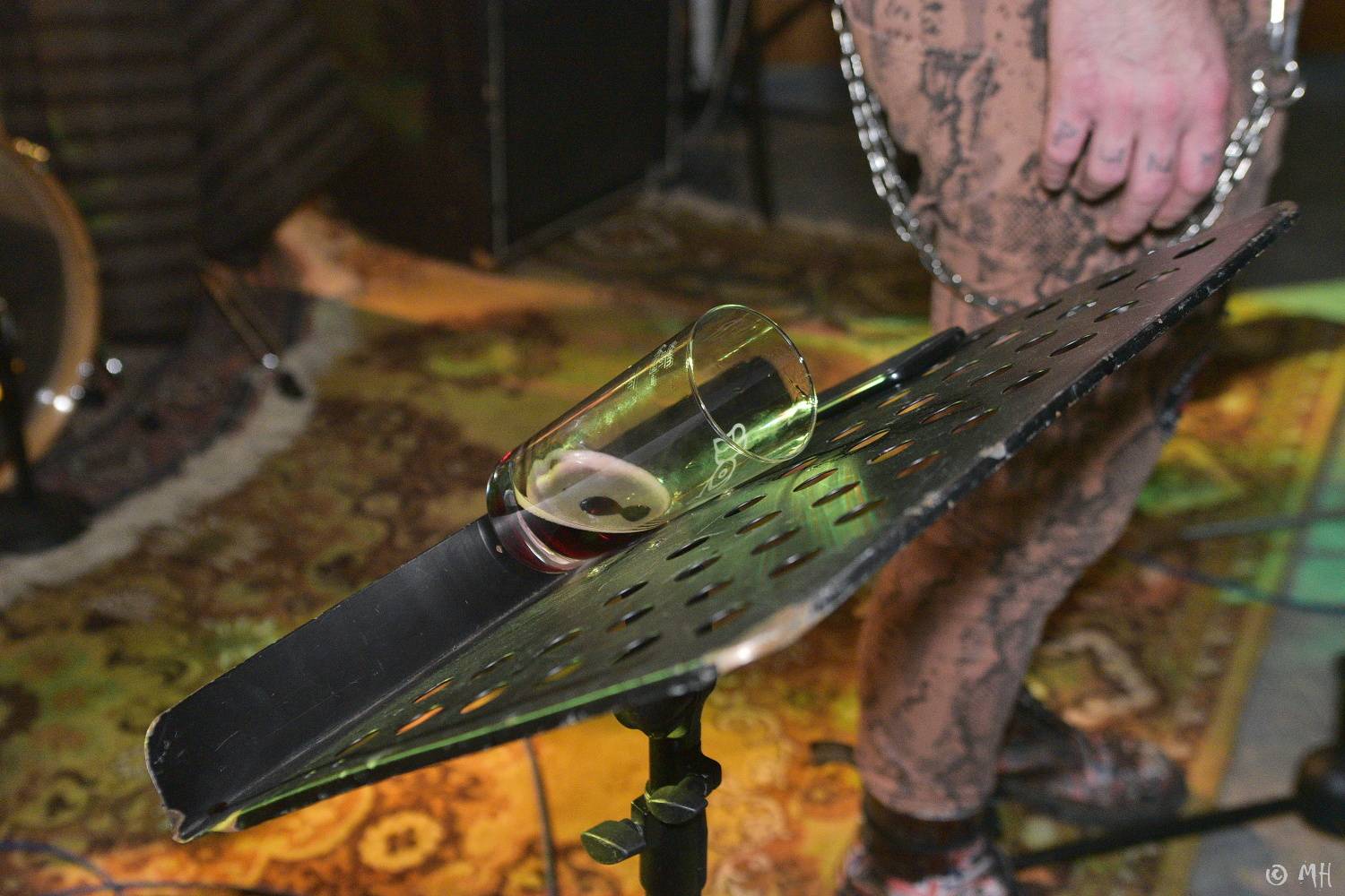 Antabus a Bradavice si v Tachovské v Plzni užili poslední letošní koncert