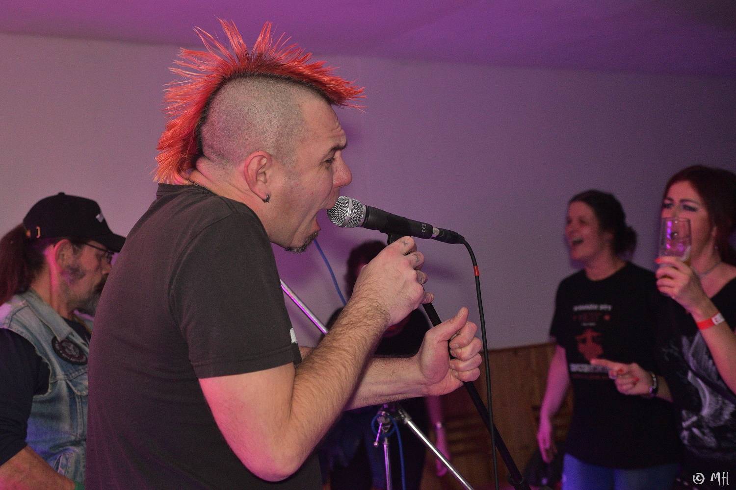 Antabus a Bradavice si v Tachovské v Plzni užili poslední letošní koncert