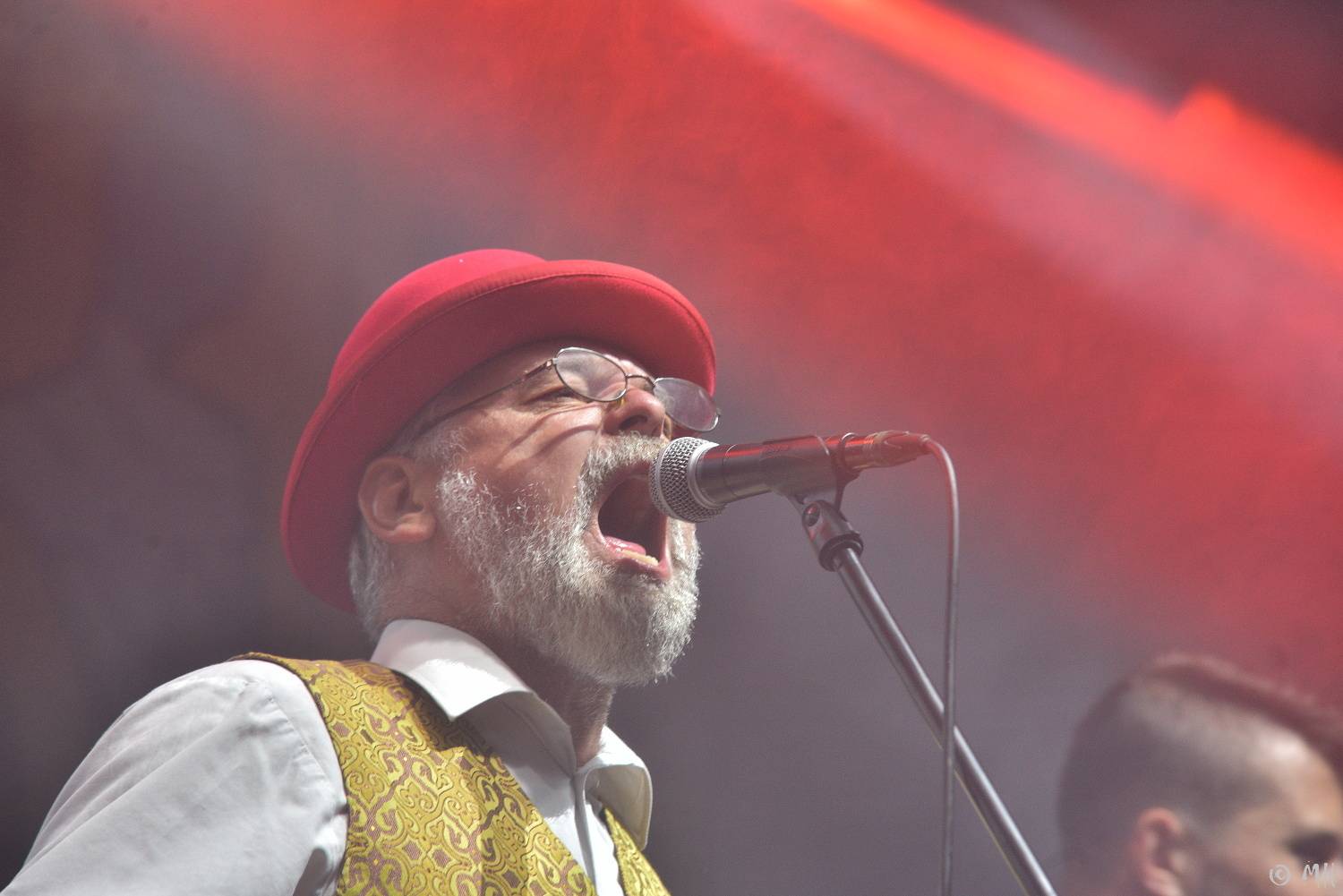 Dalším divným rokem okem fotografů | Martin Hanáček fotil Wohnout, Škwor, Harlej i Mira Žbirku