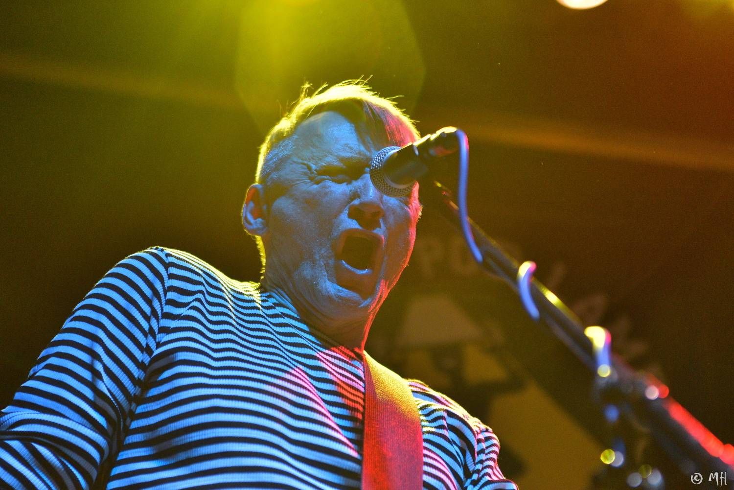 Dalším divným rokem okem fotografů | Martin Hanáček fotil Wohnout, Škwor, Harlej i Mira Žbirku