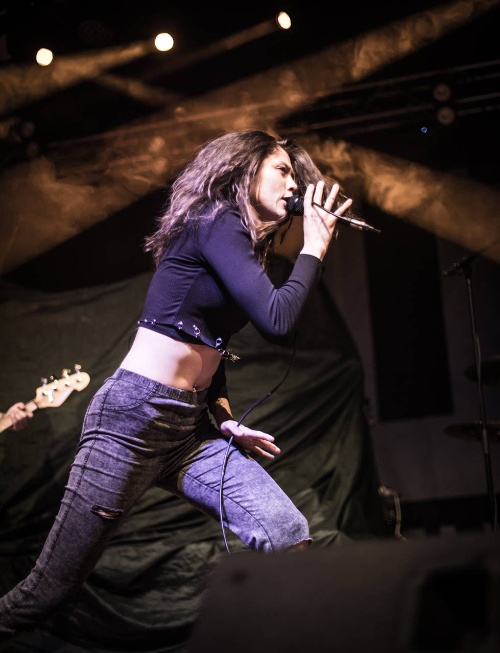 Wohnout zaplnili plzeňskou Šeříkovku, předskakovali jim Jamaron