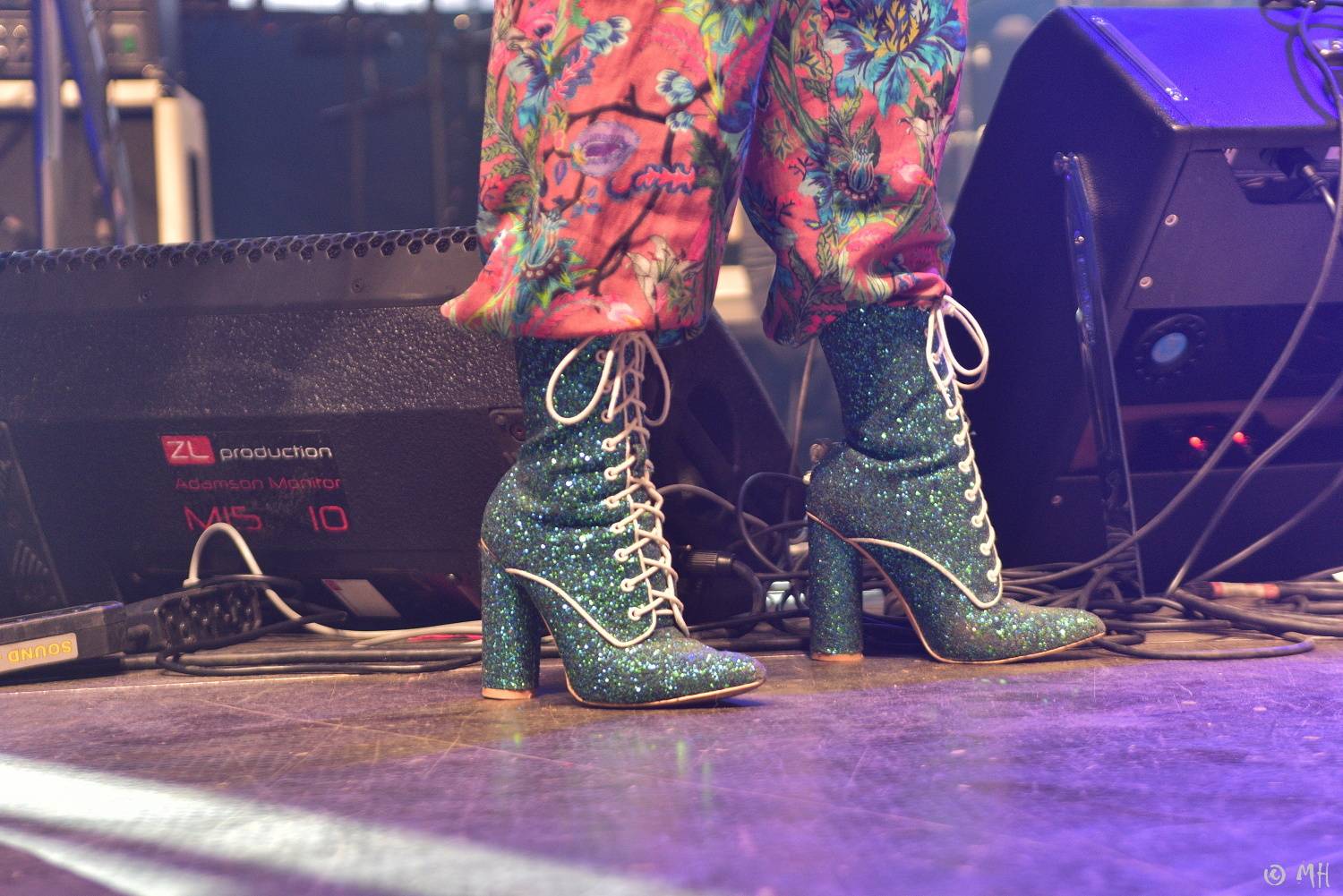 Žebřík slavil třicet let! Do Plzně dorazili Mig 21, Pražský výběr, Marek Ztracený, Marpo, Lenny a další