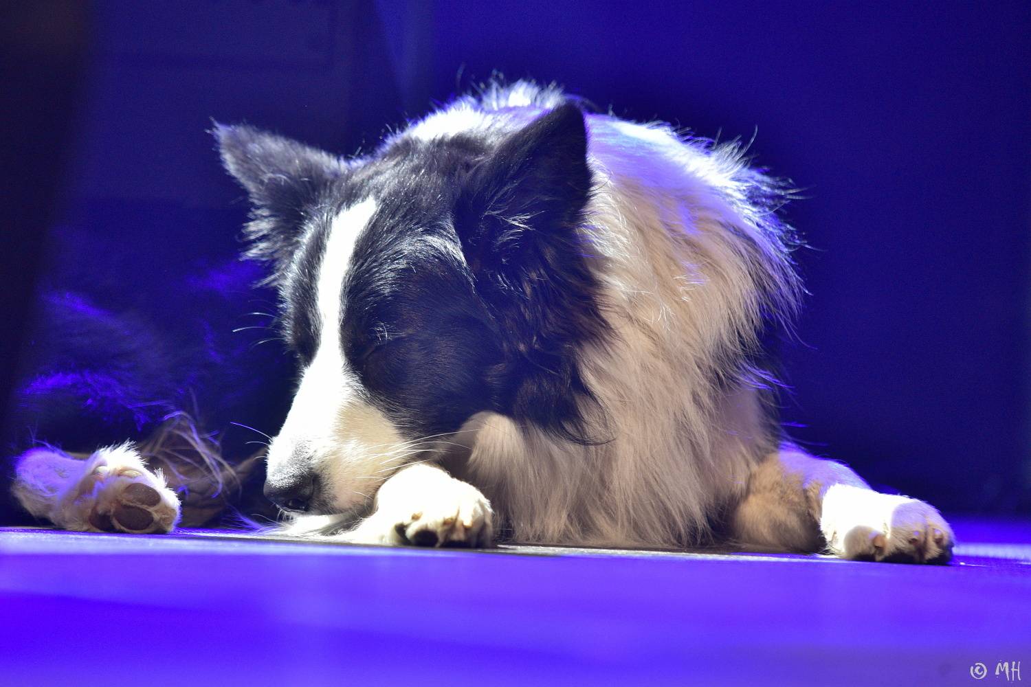 Žebřík slavil třicet let! Do Plzně dorazili Mig 21, Pražský výběr, Marek Ztracený, Marpo, Lenny a další