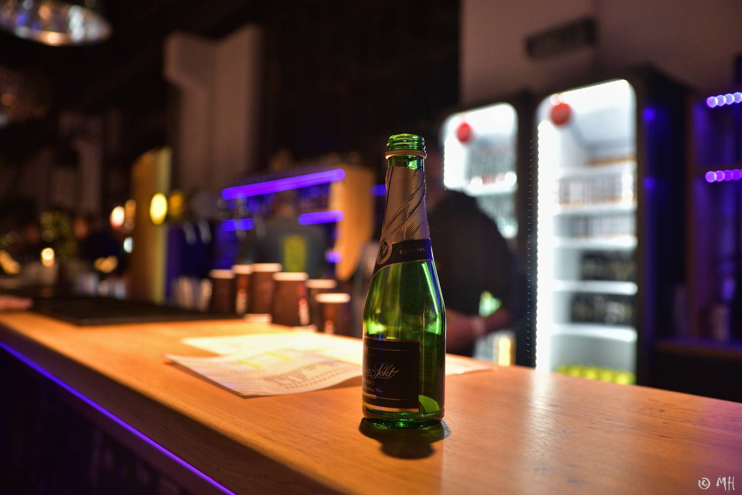 Žebřík slavil třicet let! Do Plzně dorazili Mig 21, Pražský výběr, Marek Ztracený, Marpo, Lenny a další