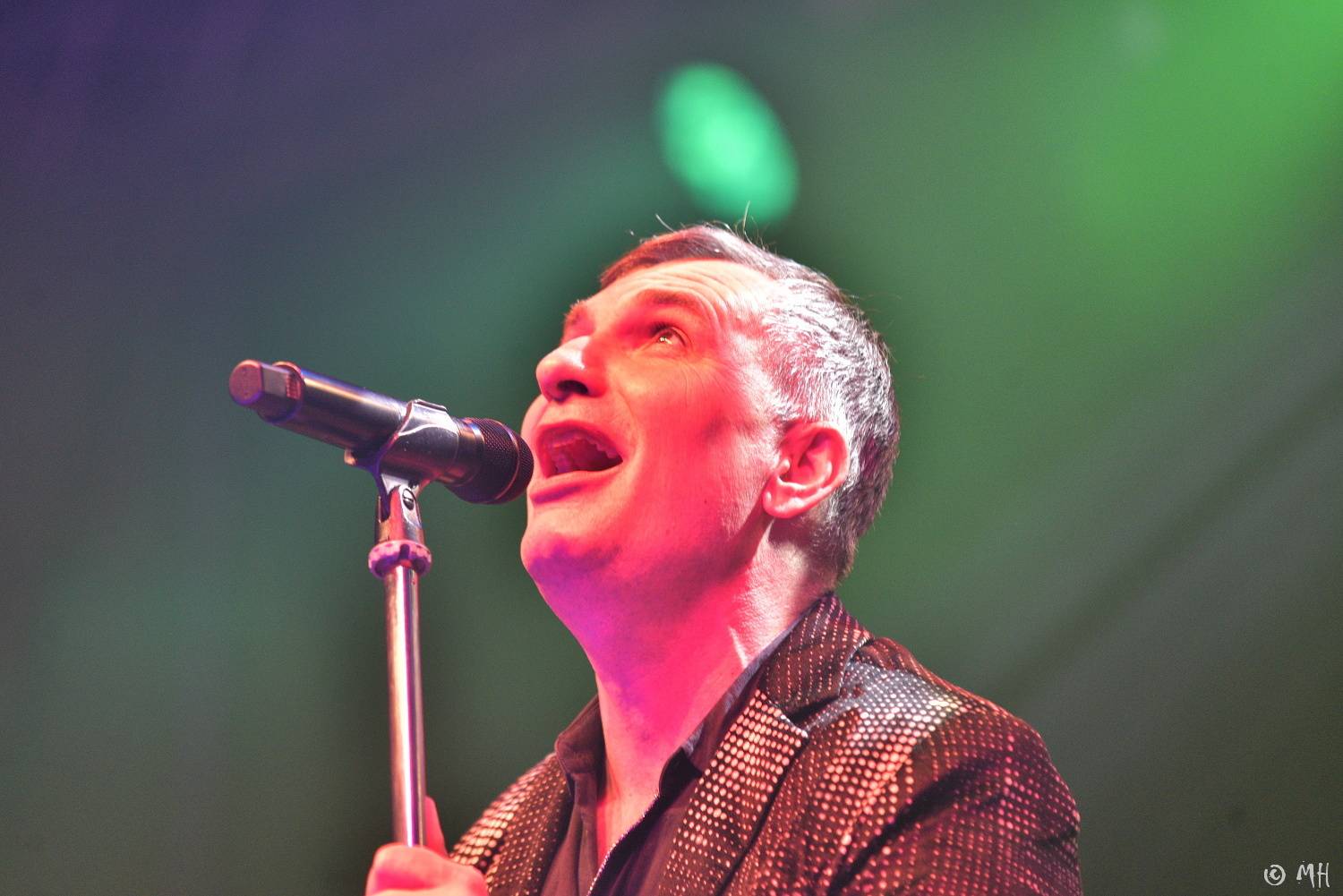 Žebřík slavil třicet let! Do Plzně dorazili Mig 21, Pražský výběr, Marek Ztracený, Marpo, Lenny a další