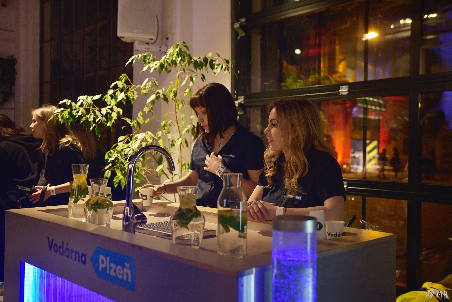 Žebřík slavil třicet let! Do Plzně dorazili Mig 21, Pražský výběr, Marek Ztracený, Marpo, Lenny a další