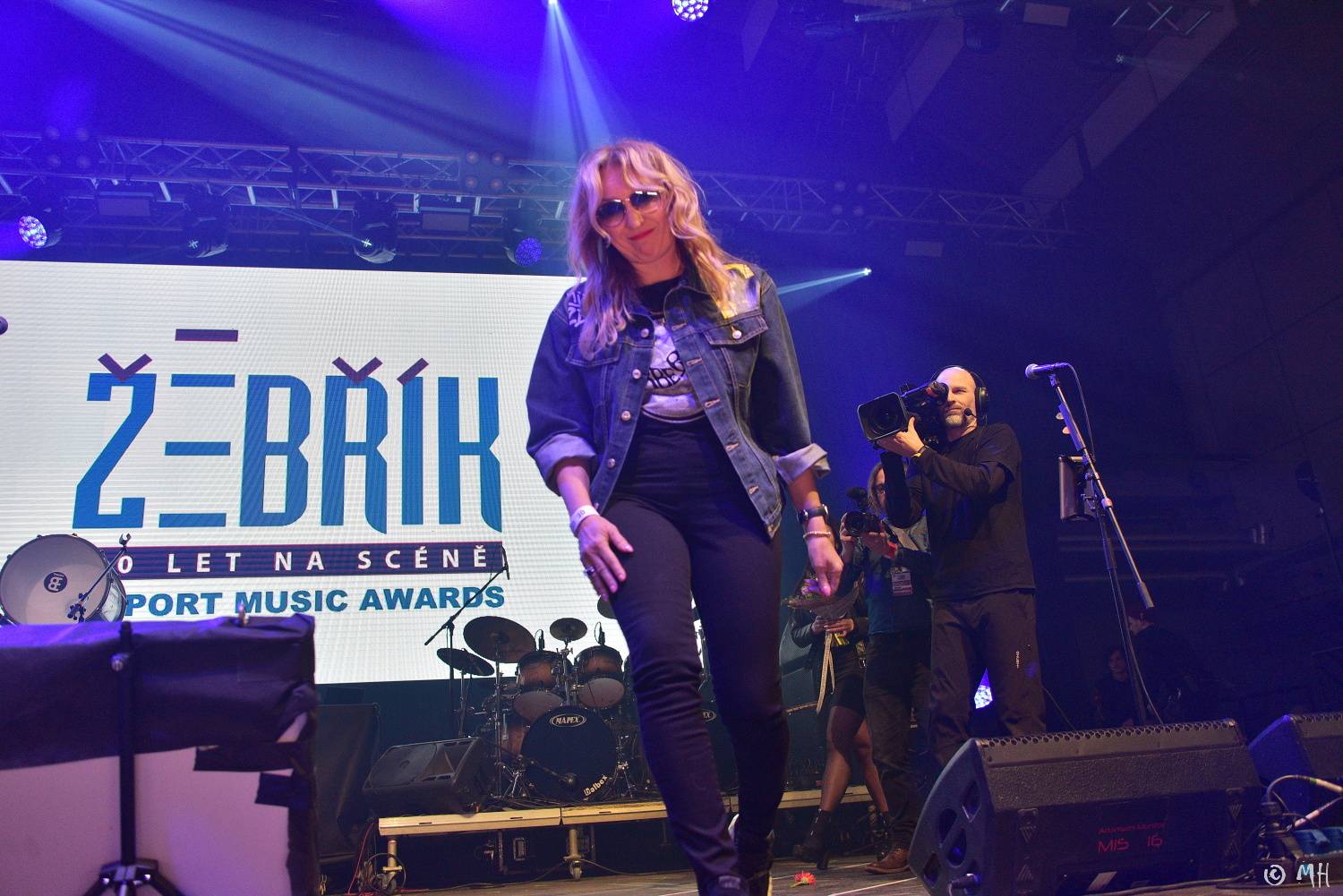 Žebřík slavil třicet let! Do Plzně dorazili Mig 21, Pražský výběr, Marek Ztracený, Marpo, Lenny a další