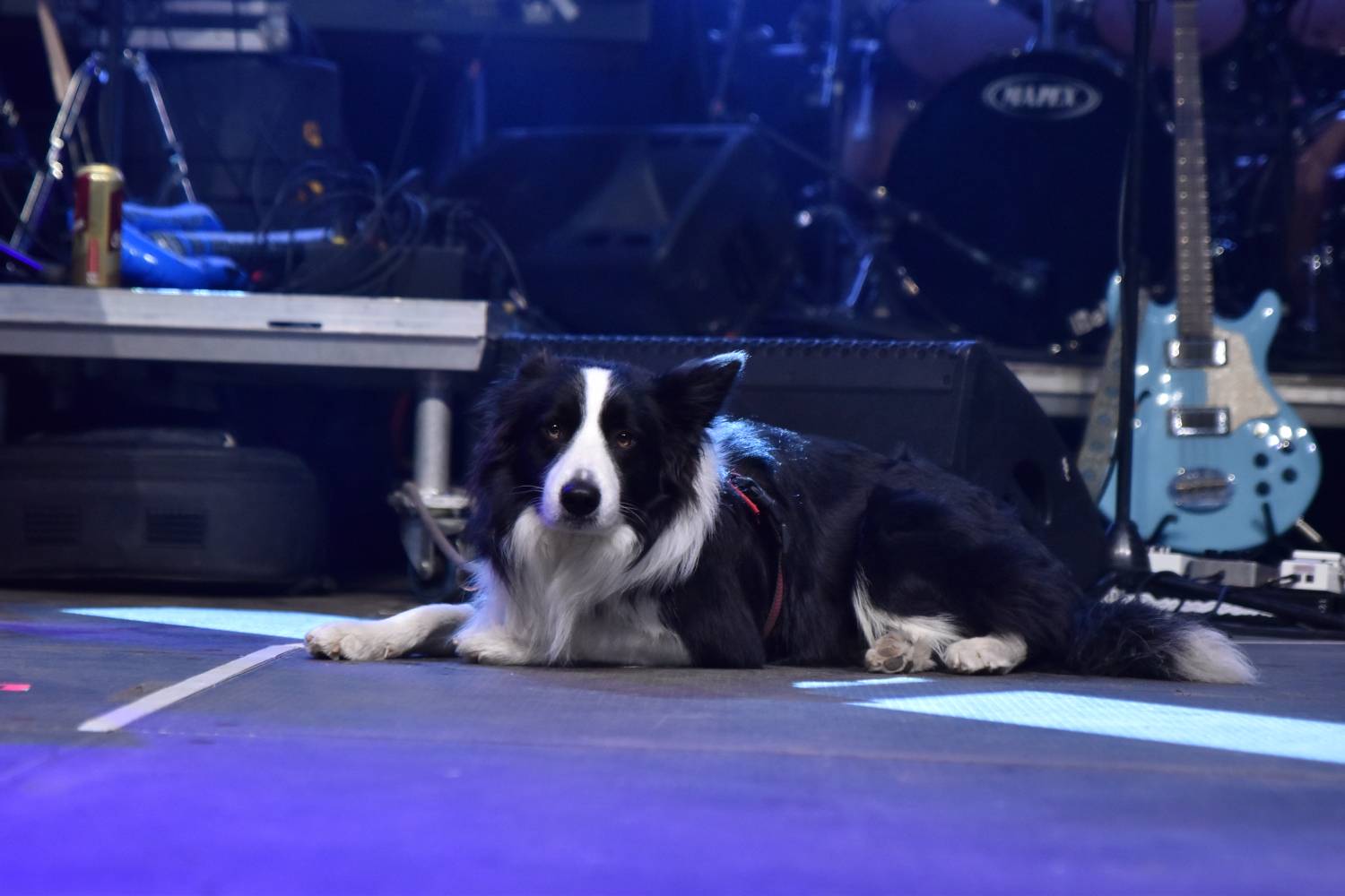 Žebřík 2021 - show, která trvala až do rána. Na pódiu řádili Xavier Baumaxa, Mig 21, Pražský výběr a Donnie Darko