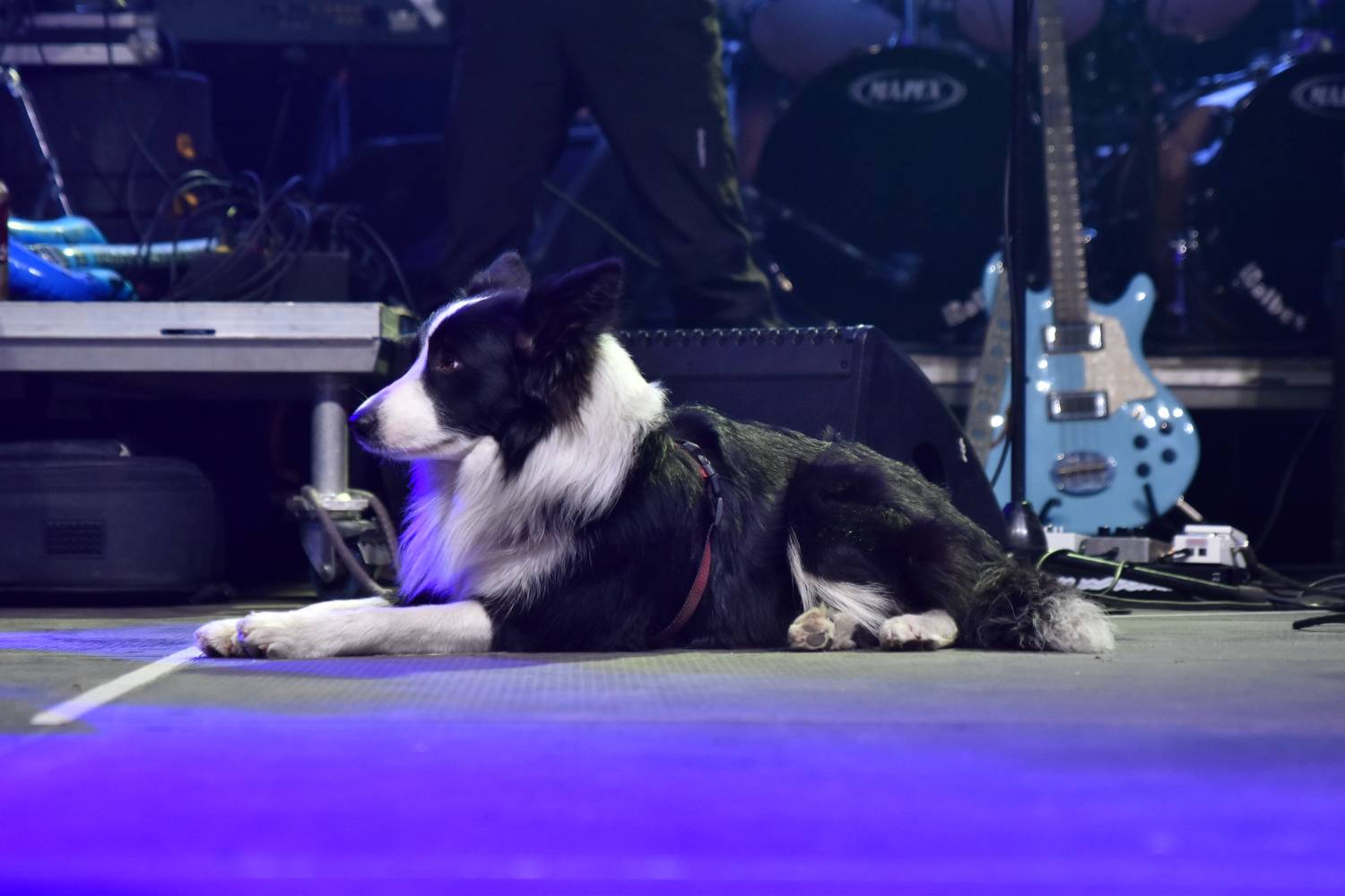 Žebřík 2021 - show, která trvala až do rána. Na pódiu řádili Xavier Baumaxa, Mig 21, Pražský výběr a Donnie Darko