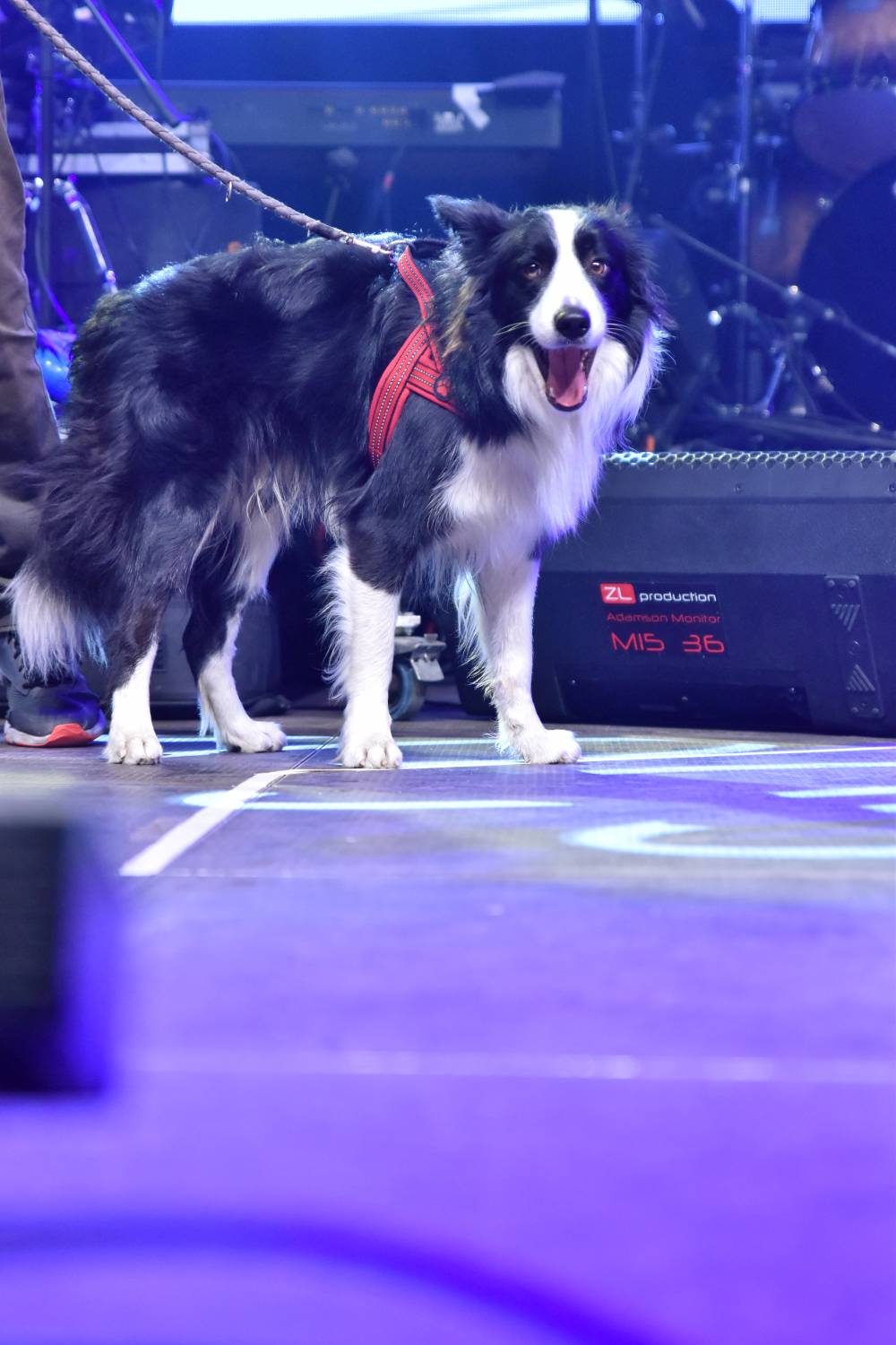 Žebřík 2021 - show, která trvala až do rána. Na pódiu řádili Xavier Baumaxa, Mig 21, Pražský výběr a Donnie Darko