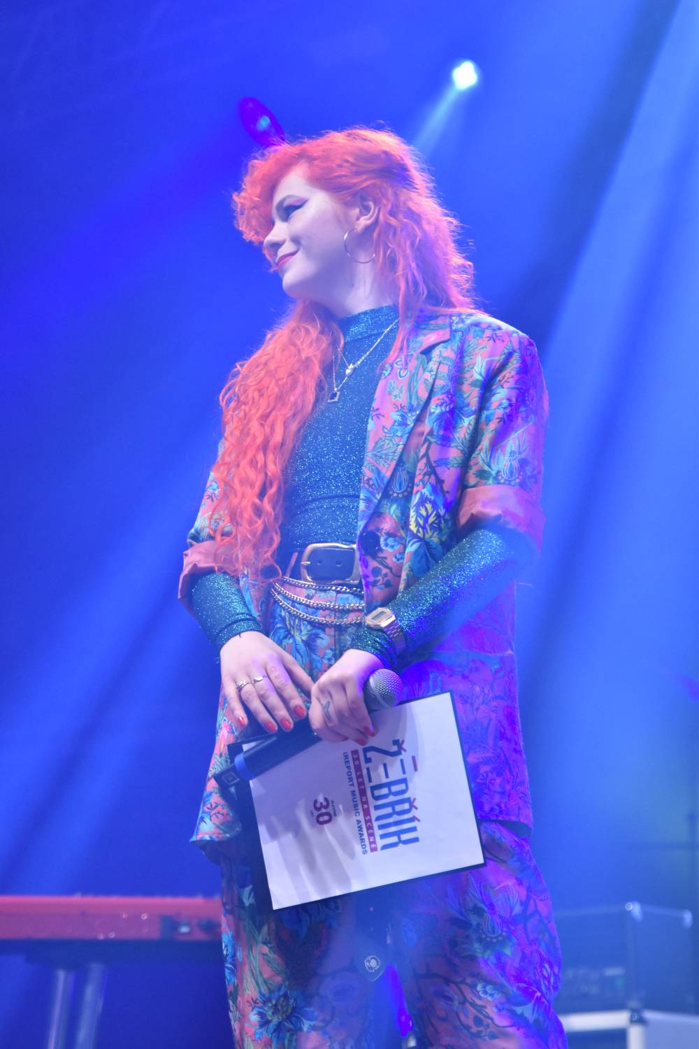 Žebřík 2021 - show, která trvala až do rána. Na pódiu řádili Xavier Baumaxa, Mig 21, Pražský výběr a Donnie Darko