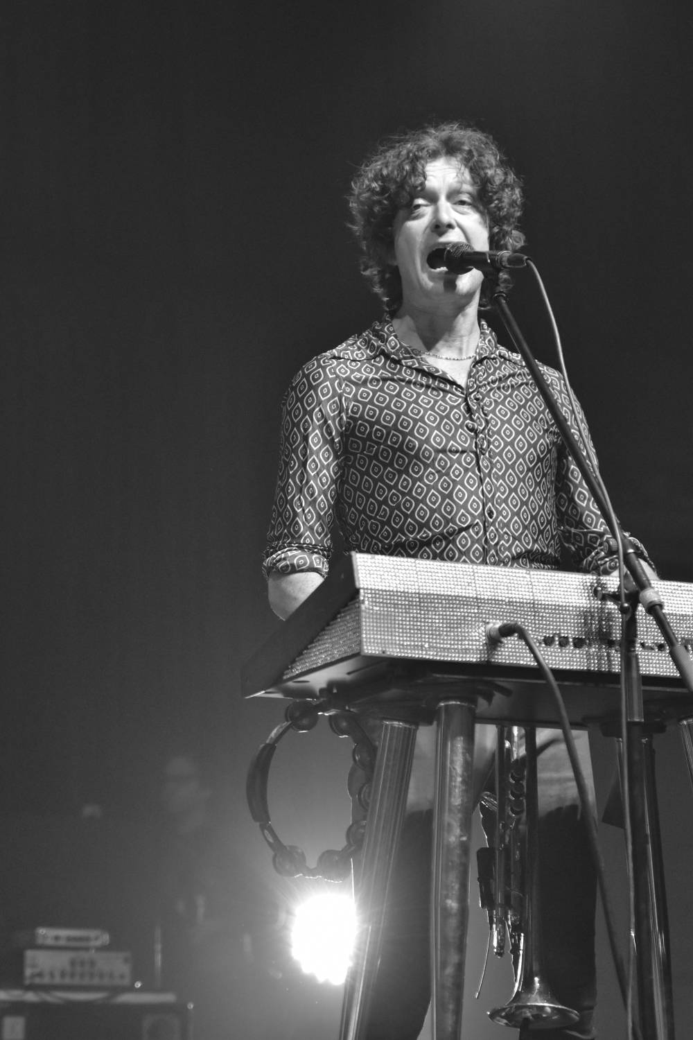 Žebřík 2021 - show, která trvala až do rána. Na pódiu řádili Xavier Baumaxa, Mig 21, Pražský výběr a Donnie Darko