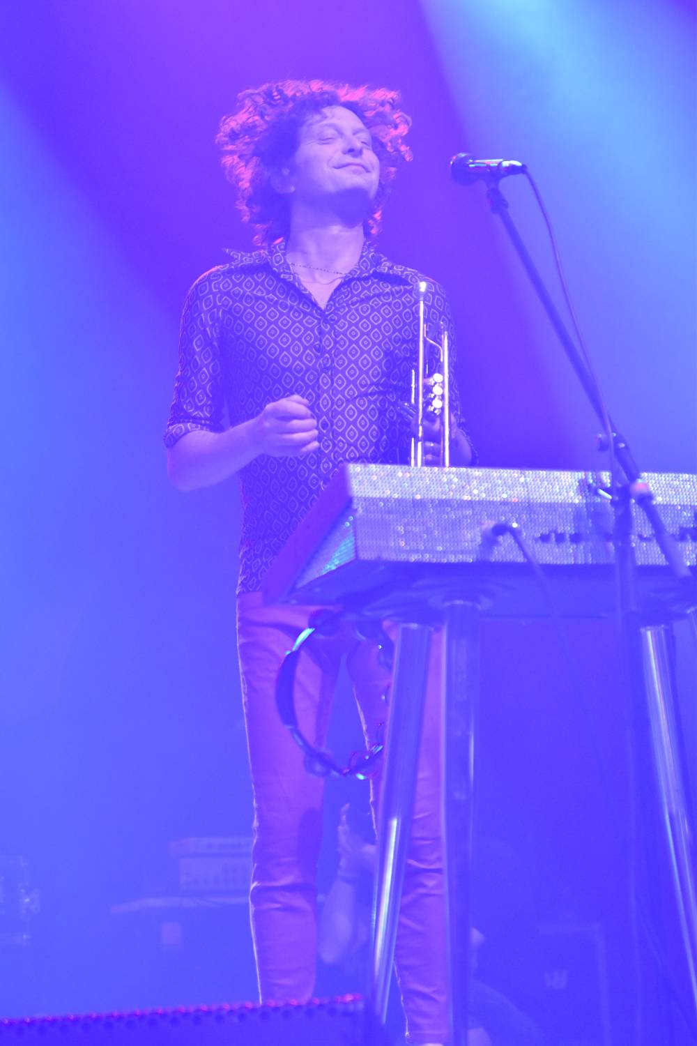 Žebřík 2021 - show, která trvala až do rána. Na pódiu řádili Xavier Baumaxa, Mig 21, Pražský výběr a Donnie Darko