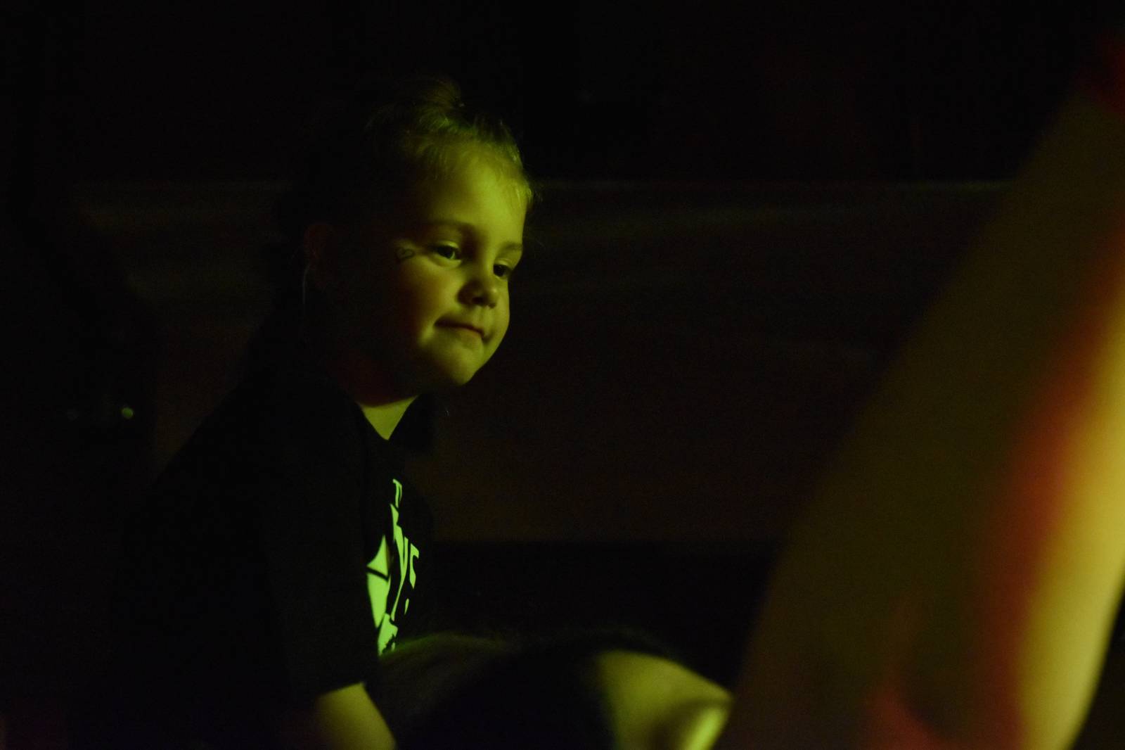 Adys doma v Klatovech představili Lopaty POPu. Album pokřtil Petr Lebeda, zahráli Fiasko a Vojtaano