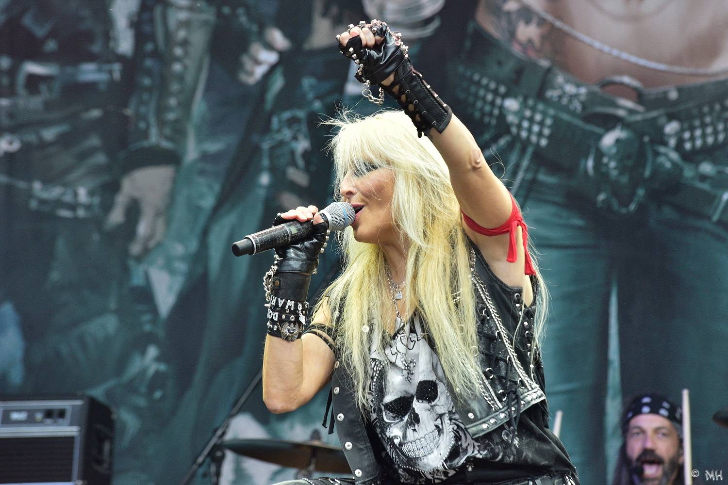 Metalové burácení v Plzni pokračuje. Doro oslavila narozeniny, vystoupili i Running Wild nebo Majestica