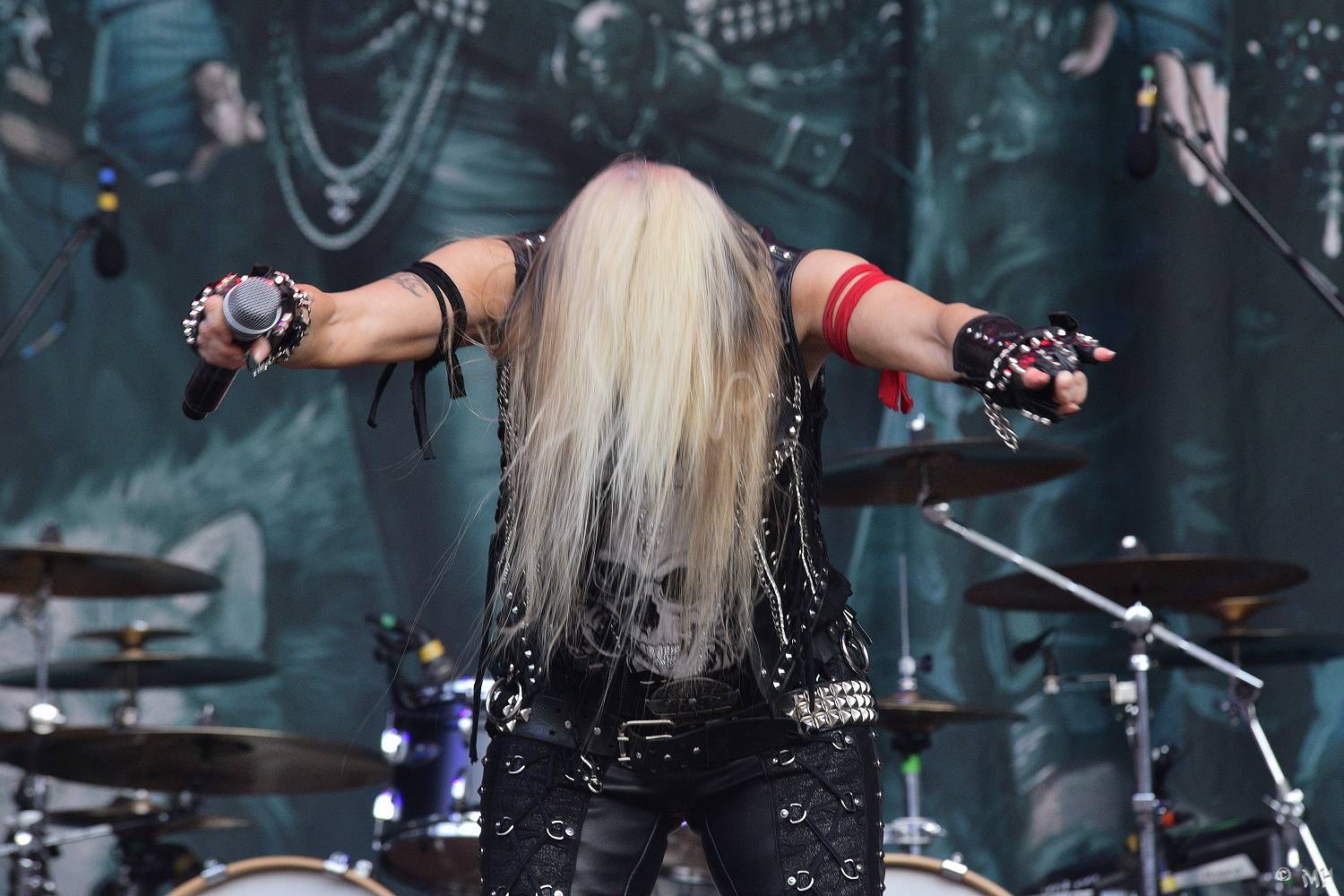 Metalové burácení v Plzni pokračuje. Doro oslavila narozeniny, vystoupili i Running Wild nebo Majestica