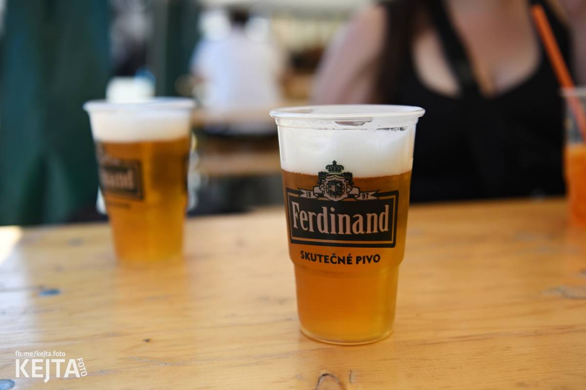 Punk Rock for Ferdinand: nejen dospěláci pařili na RV-4, The Fialky nebo !V.V.Ú.