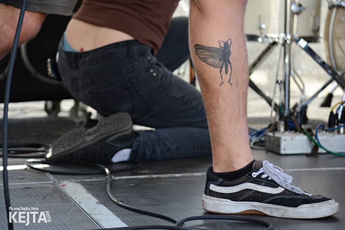 Punk Rock for Ferdinand: nejen dospěláci pařili na RV-4, The Fialky nebo !V.V.Ú.