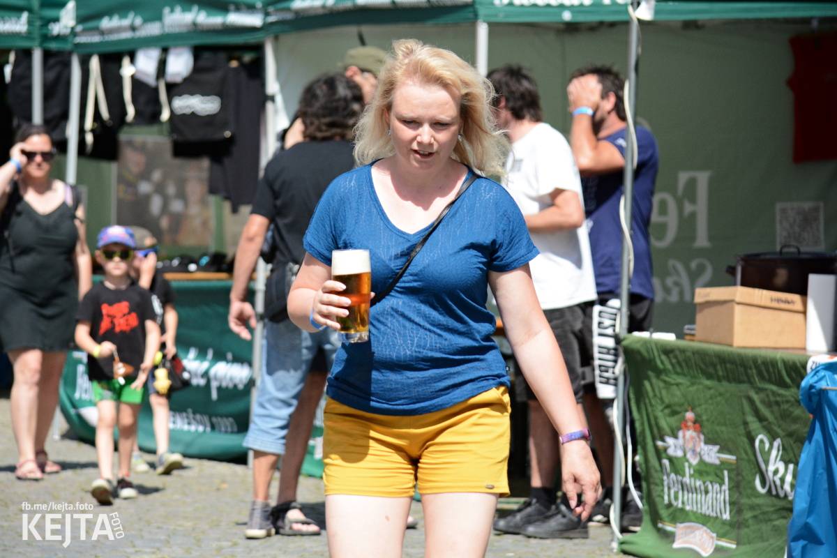 Punk Rock for Ferdinand: nejen dospěláci pařili na RV-4, The Fialky nebo !V.V.Ú.