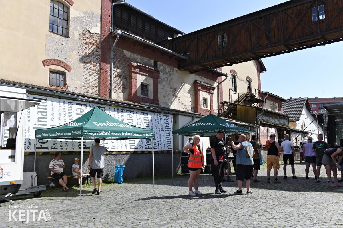 Punk Rock for Ferdinand: nejen dospěláci pařili na RV-4, The Fialky nebo !V.V.Ú.