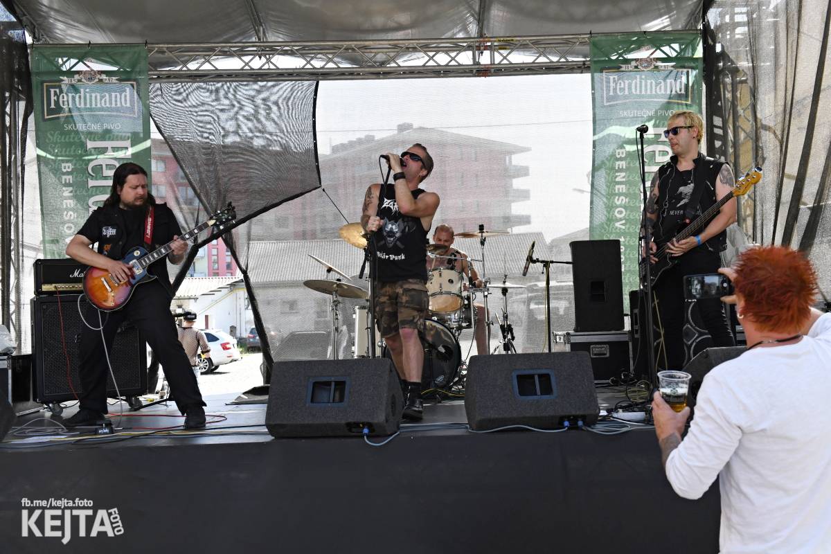 Punk Rock for Ferdinand: nejen dospěláci pařili na RV-4, The Fialky nebo !V.V.Ú.