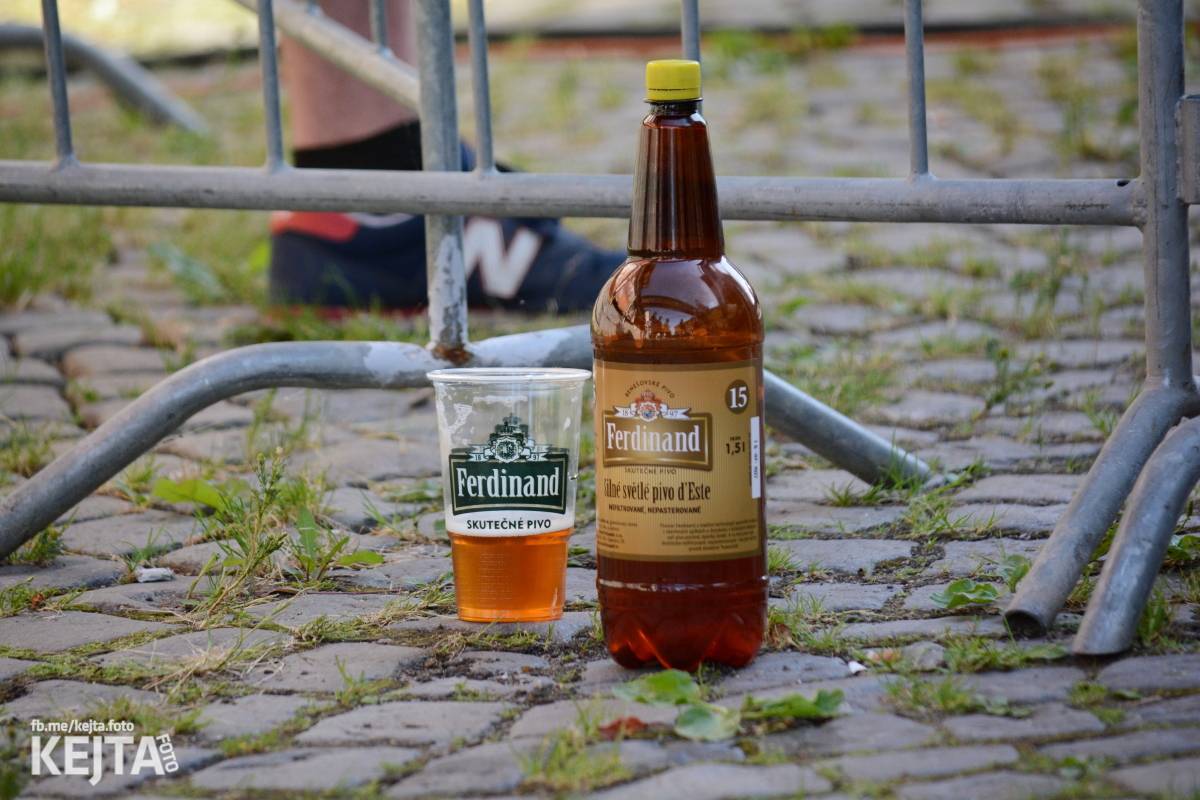 Punk Rock for Ferdinand: nejen dospěláci pařili na RV-4, The Fialky nebo !V.V.Ú.