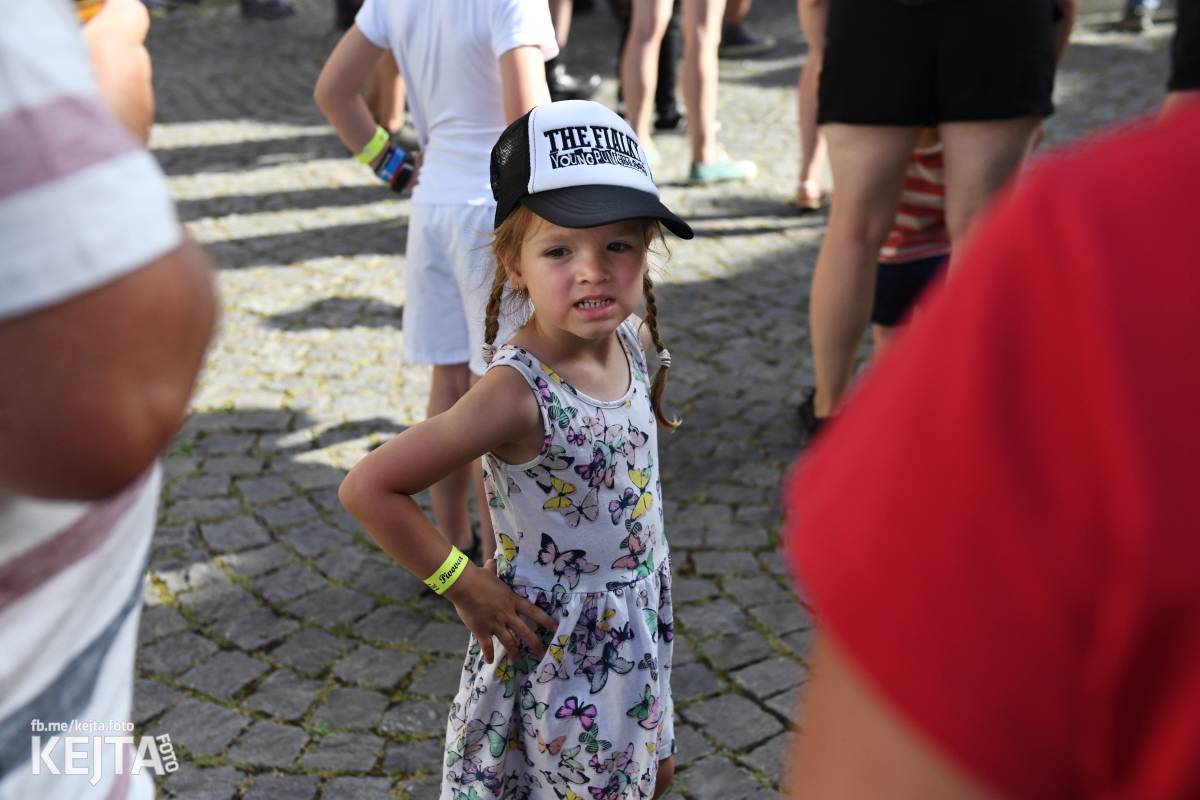 Punk Rock for Ferdinand: nejen dospěláci pařili na RV-4, The Fialky nebo !V.V.Ú.