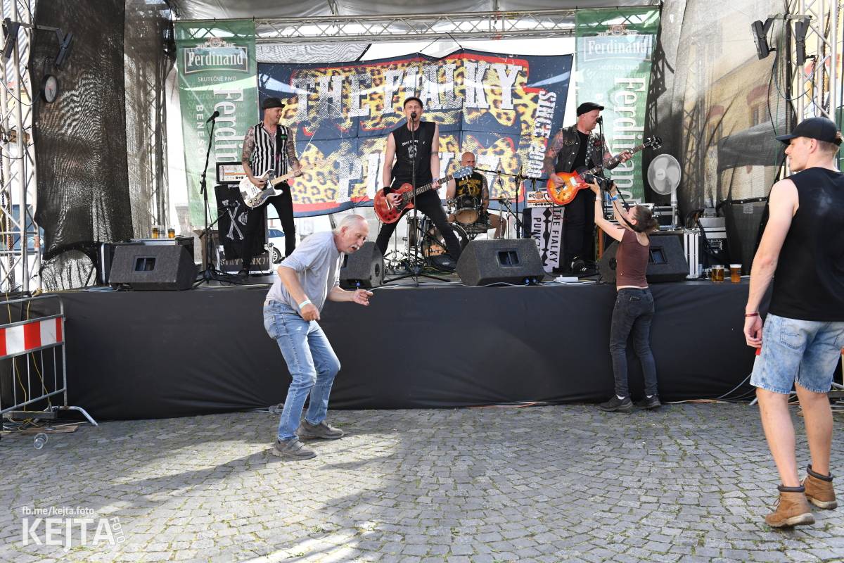 Punk Rock for Ferdinand: nejen dospěláci pařili na RV-4, The Fialky nebo !V.V.Ú.