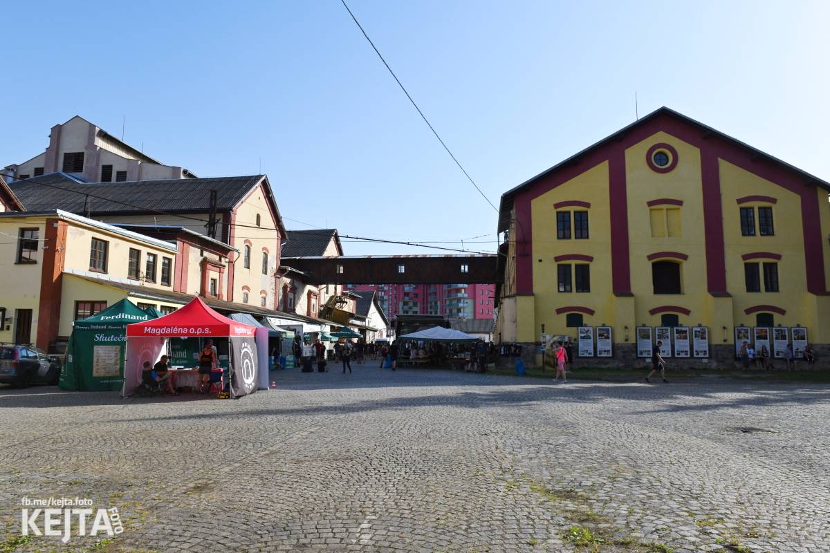 Punk Rock for Ferdinand: nejen dospěláci pařili na RV-4, The Fialky nebo !V.V.Ú.