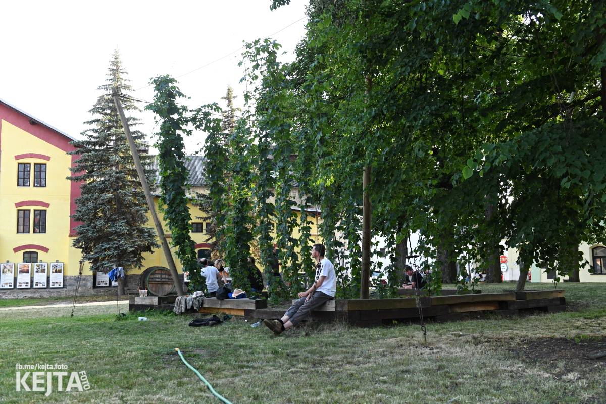 Punk Rock for Ferdinand: nejen dospěláci pařili na RV-4, The Fialky nebo !V.V.Ú.