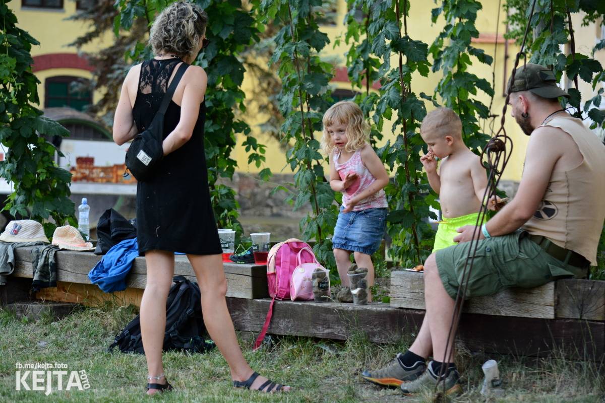 Punk Rock for Ferdinand: nejen dospěláci pařili na RV-4, The Fialky nebo !V.V.Ú.