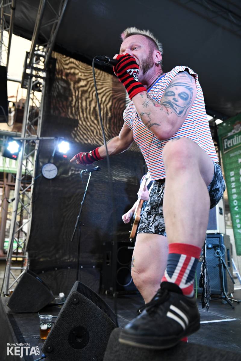 Punk Rock for Ferdinand: nejen dospěláci pařili na RV-4, The Fialky nebo !V.V.Ú.