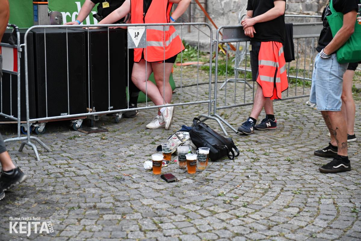 Punk Rock for Ferdinand: nejen dospěláci pařili na RV-4, The Fialky nebo !V.V.Ú.