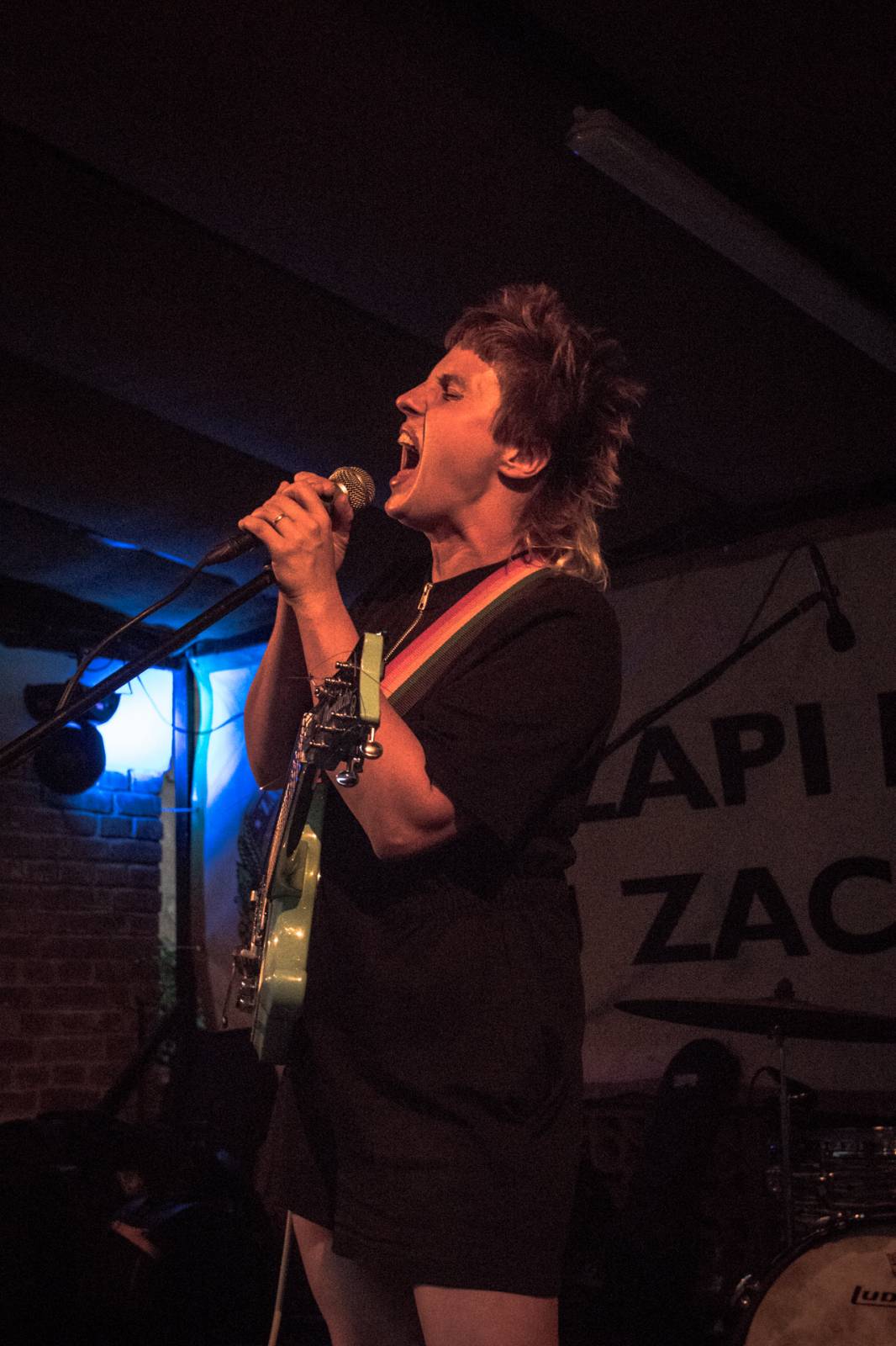 Mucha rozjela v Plzni energickou show