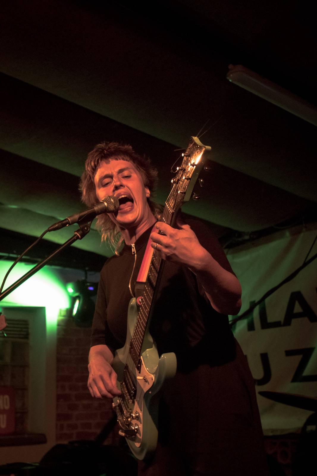 Mucha rozjela v Plzni energickou show