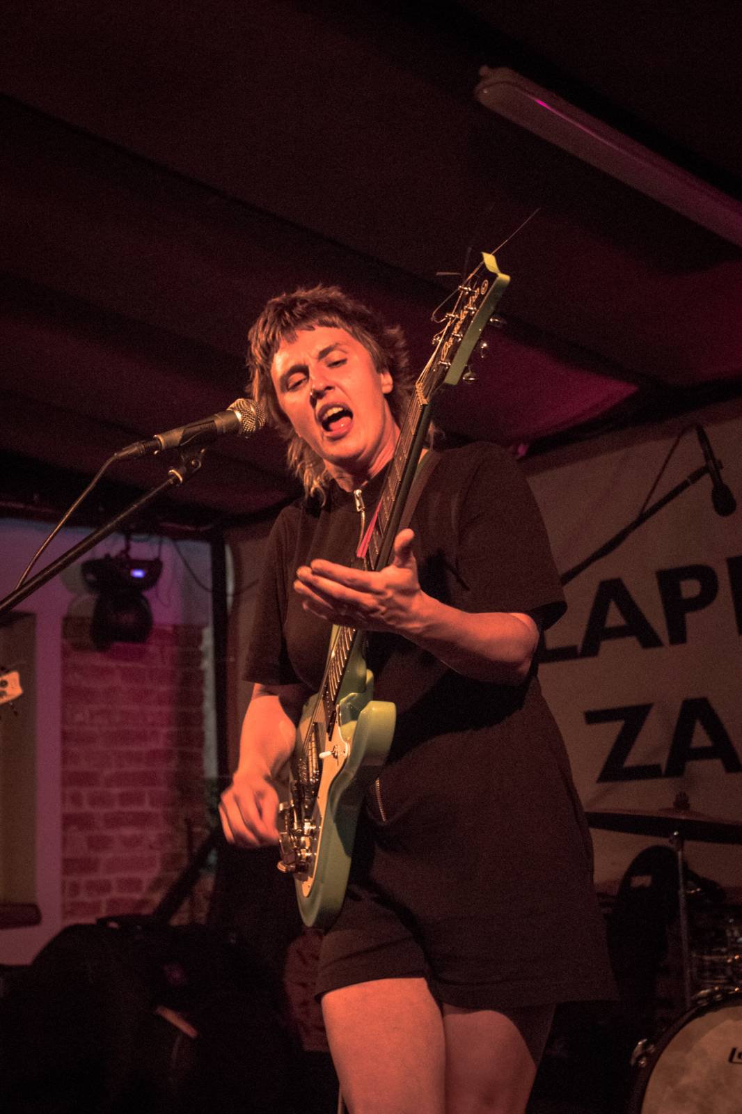 Mucha rozjela v Plzni energickou show