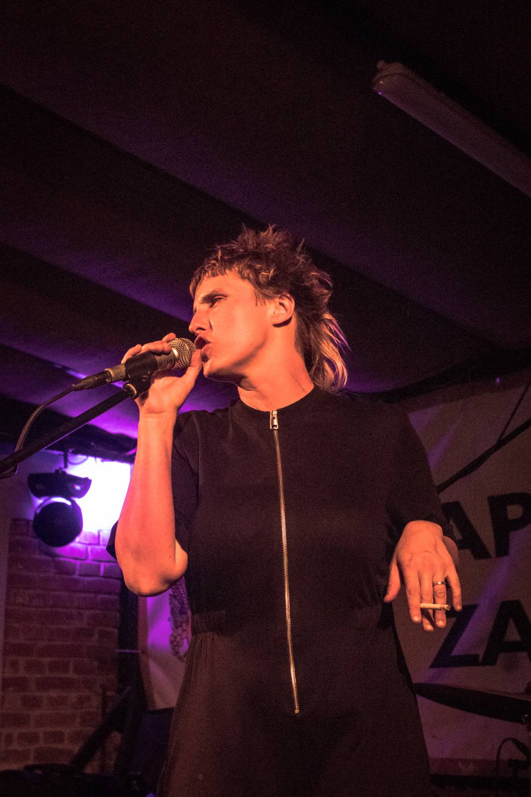 Mucha rozjela v Plzni energickou show